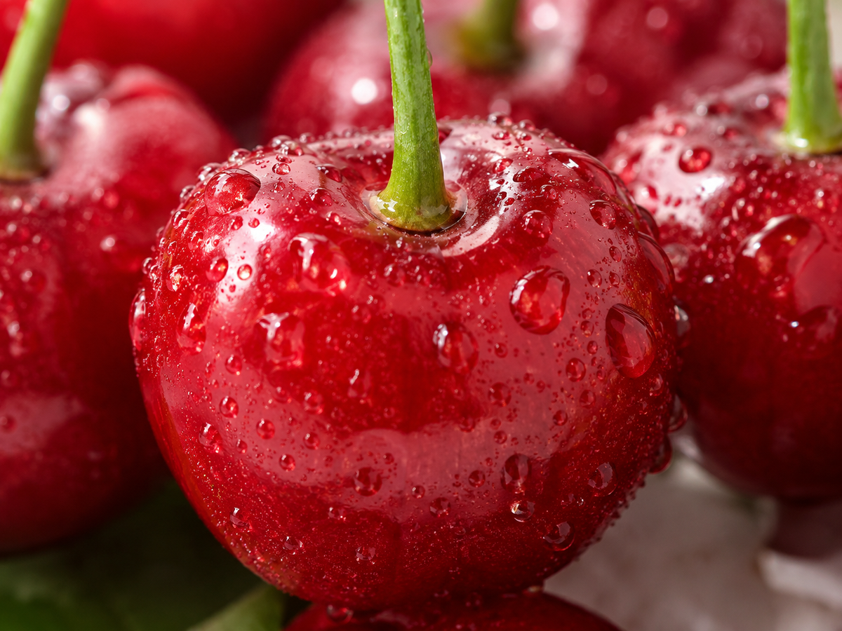 Grow Your Own Sweet Cherry🍒 Tree — Premium